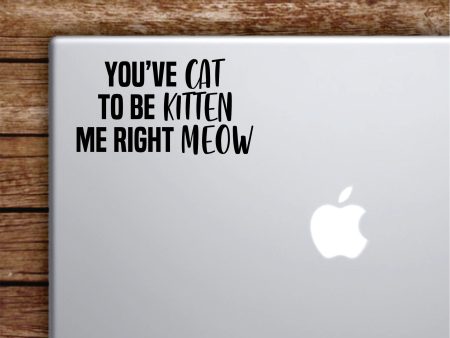 You ve Cat To Be Kitten Me Right Meow Laptop Wall Decal Sticker Vinyl Art Quote Macbook Apple Decor Car Window Truck Teen Inspirational Girls Animal Funny on Sale