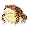 Grouchy Toad Vinyl Sticker Online now