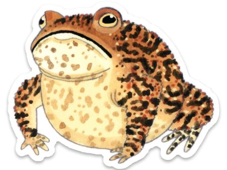 Grouchy Toad Vinyl Sticker Online now