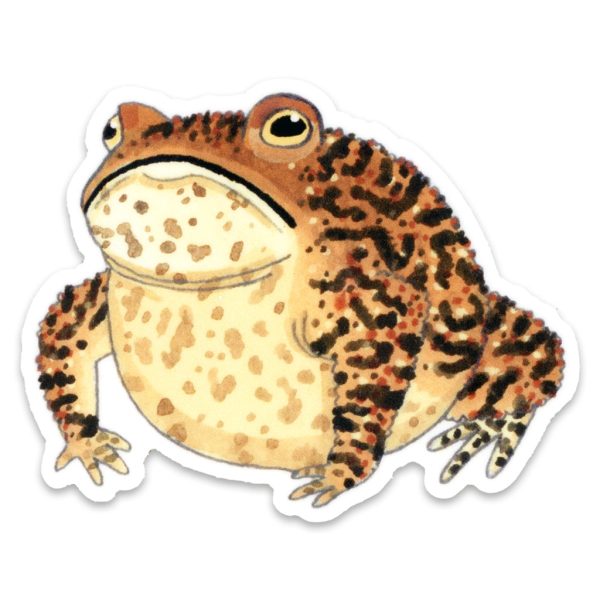 Grouchy Toad Vinyl Sticker Online now