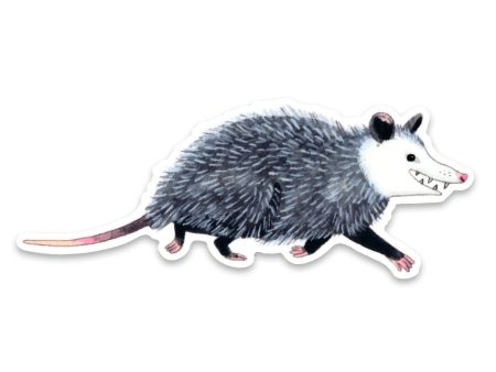 Opossum Vinyl Sticker Online Hot Sale