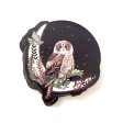 Starry Night Owl Vinyl Sticker For Cheap