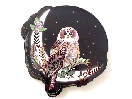 Starry Night Owl Vinyl Sticker For Cheap